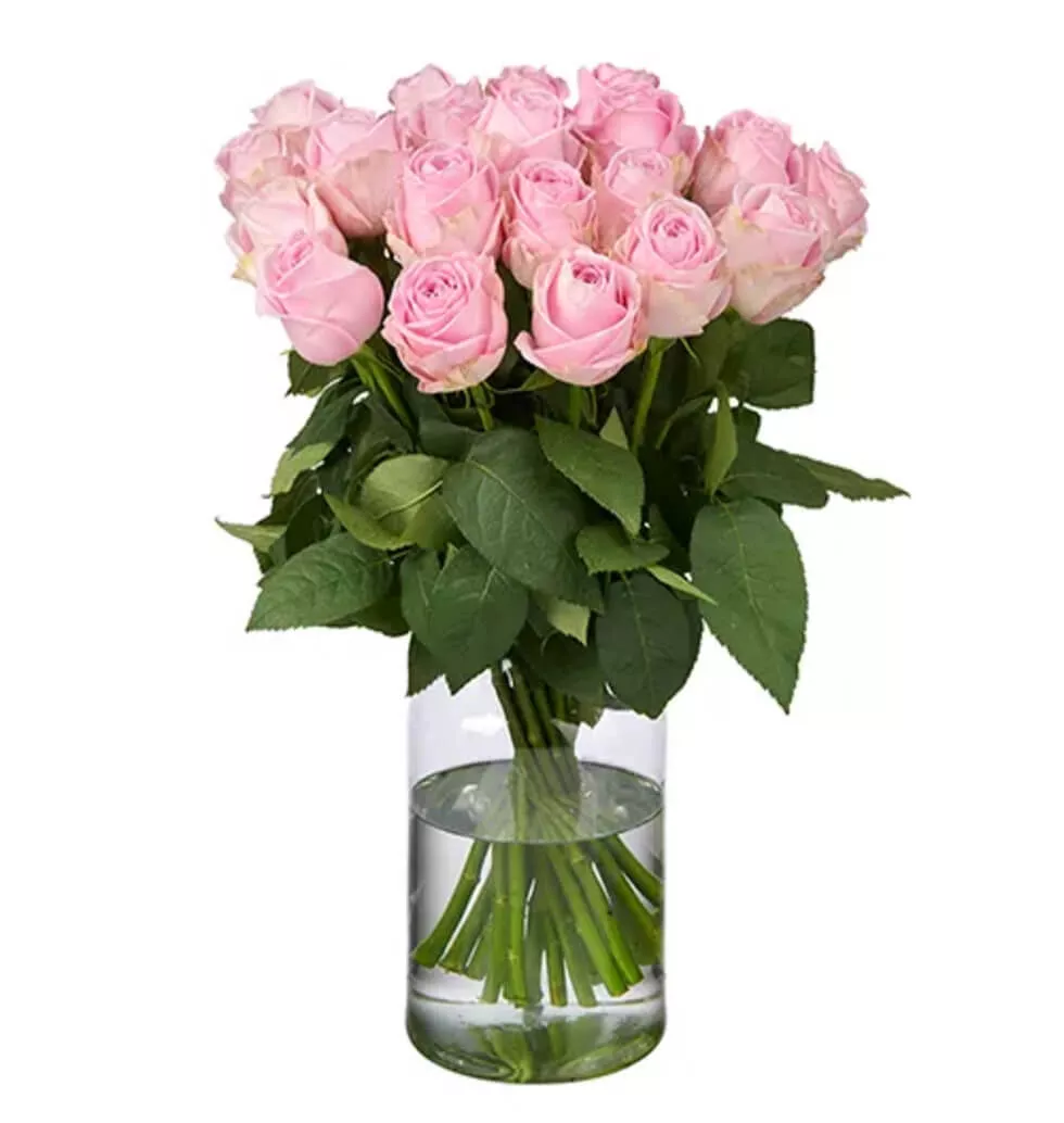 20 Pink Roses Arrangement