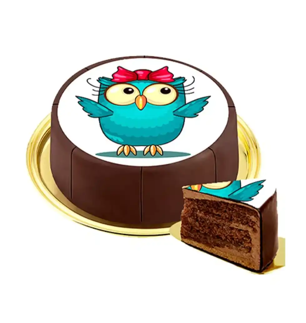 Artistic Owl Decorated Cake
