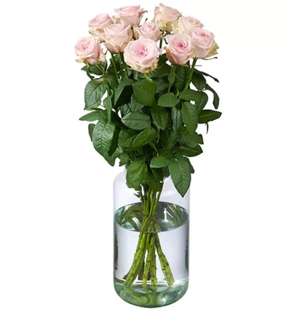Finest 10 Pink Roses