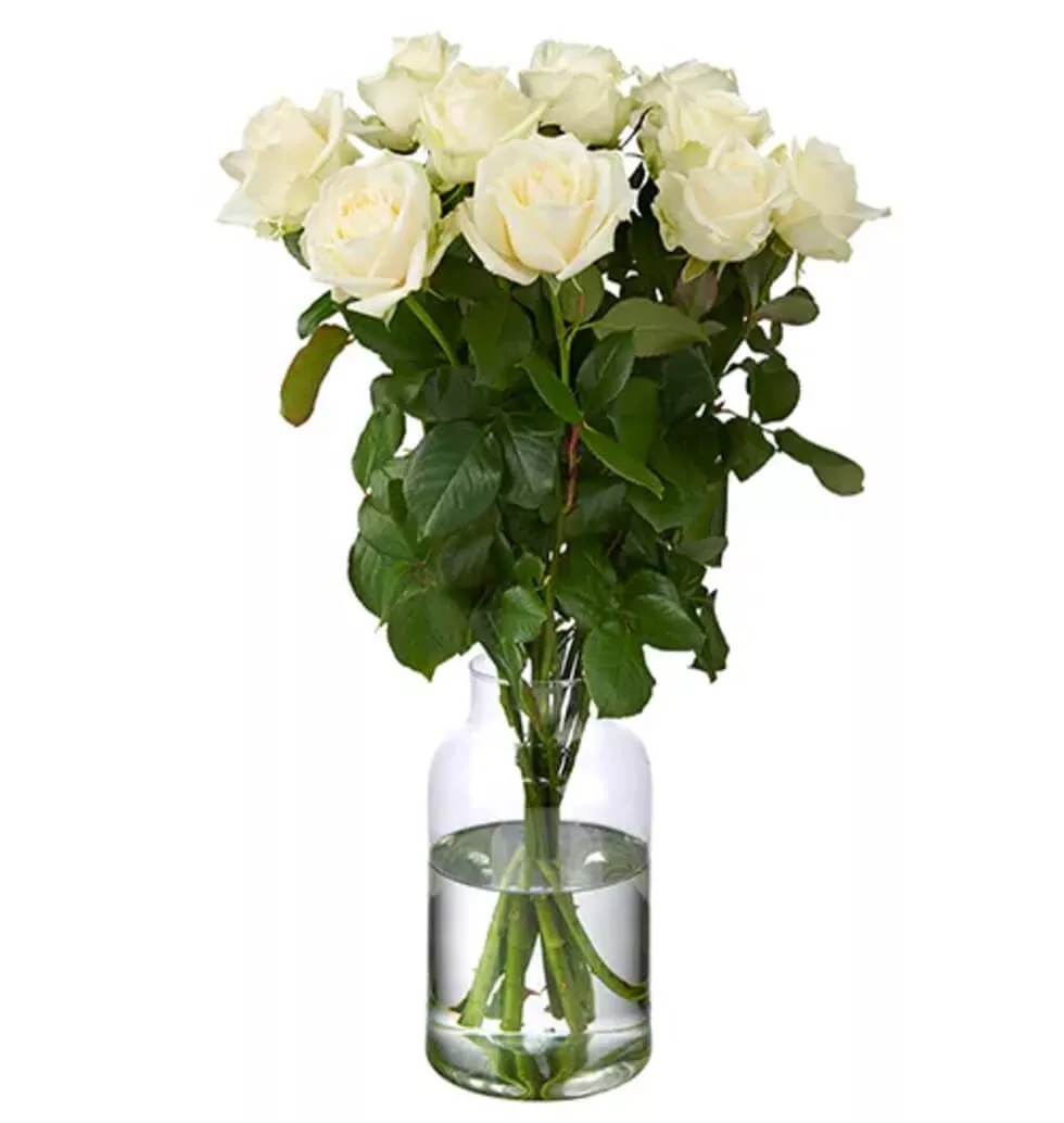 Finest White 10 Avalanche Roses