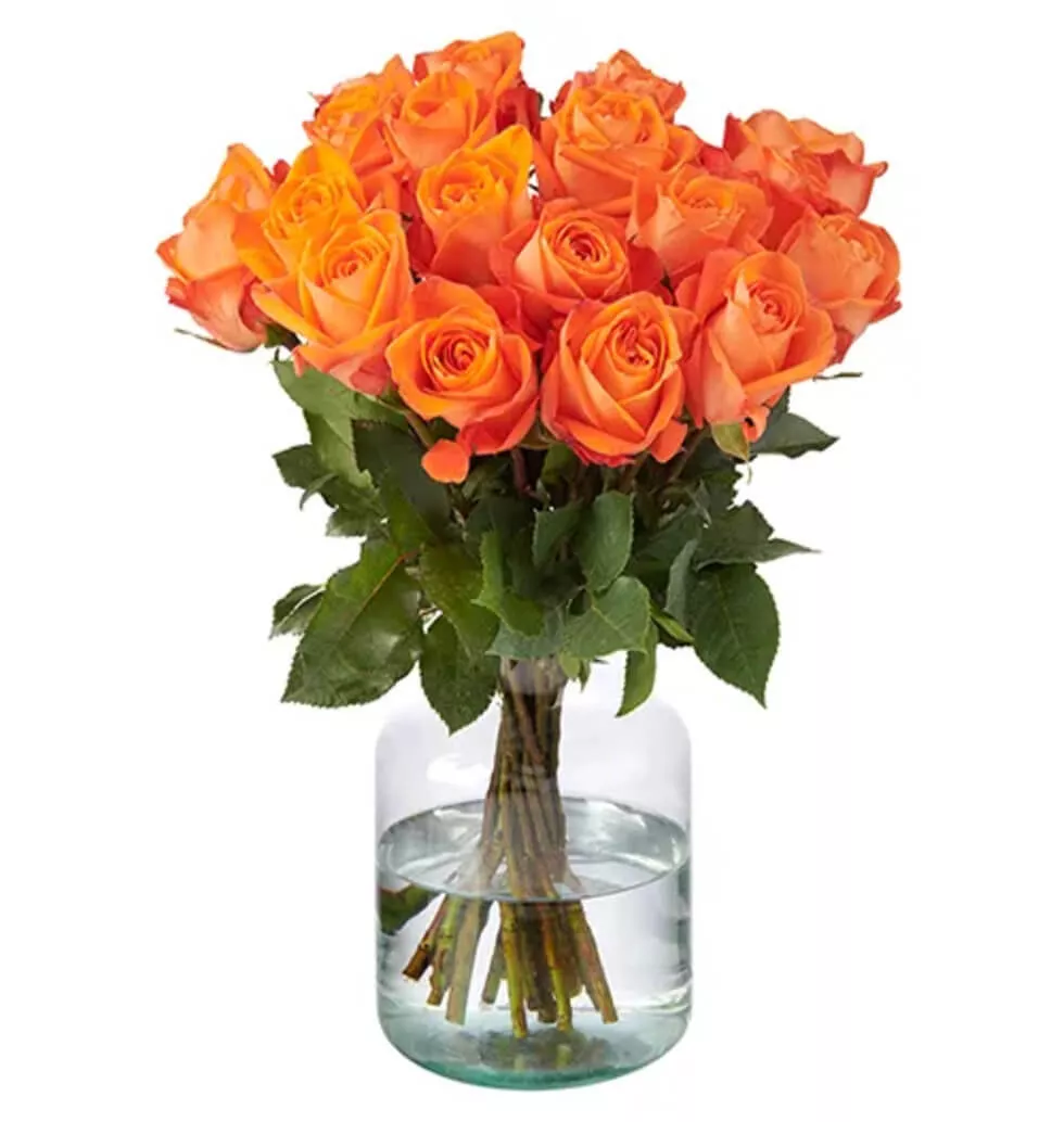 Melody composed of orange roses