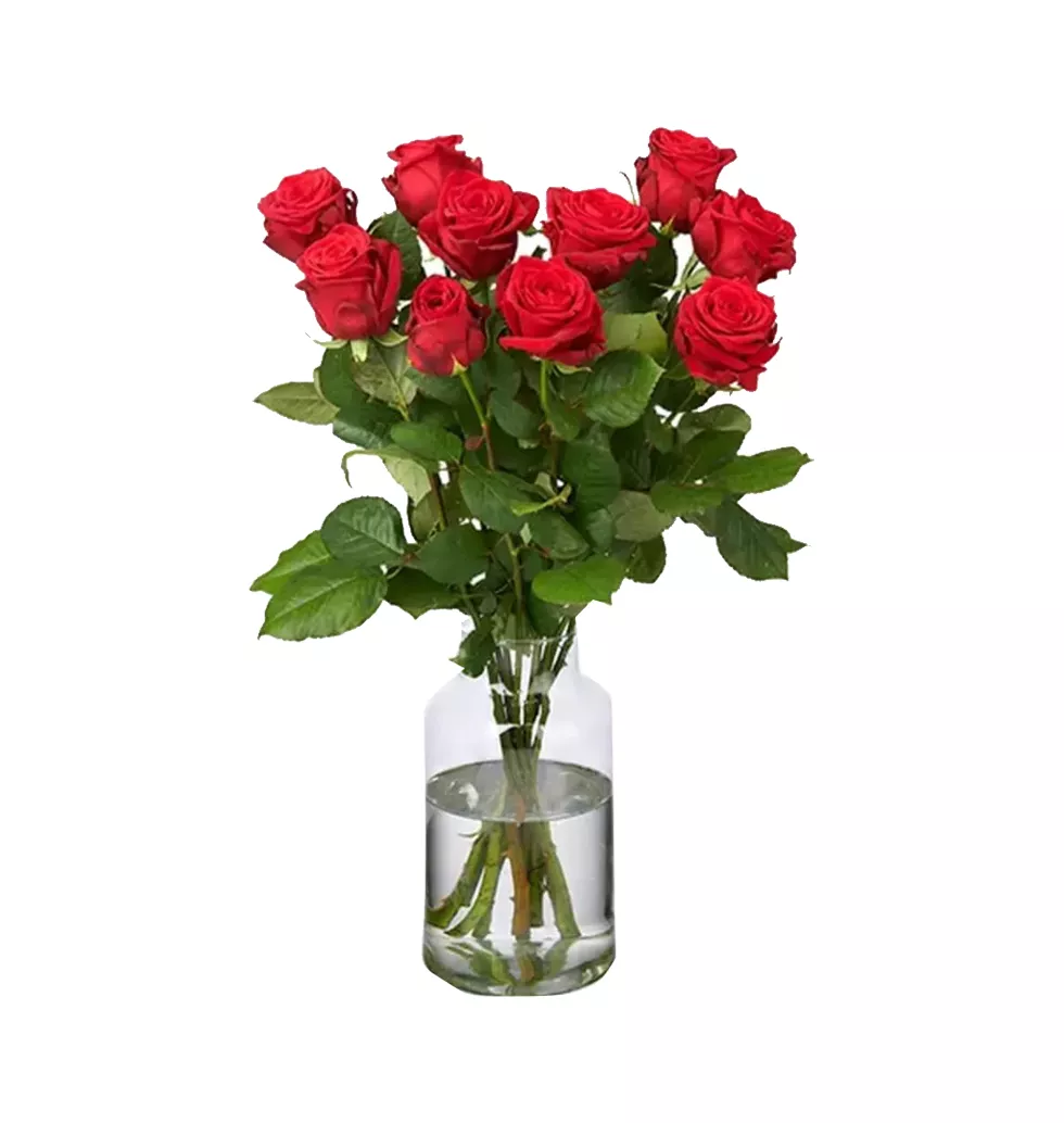 Ten Premium Red Roses