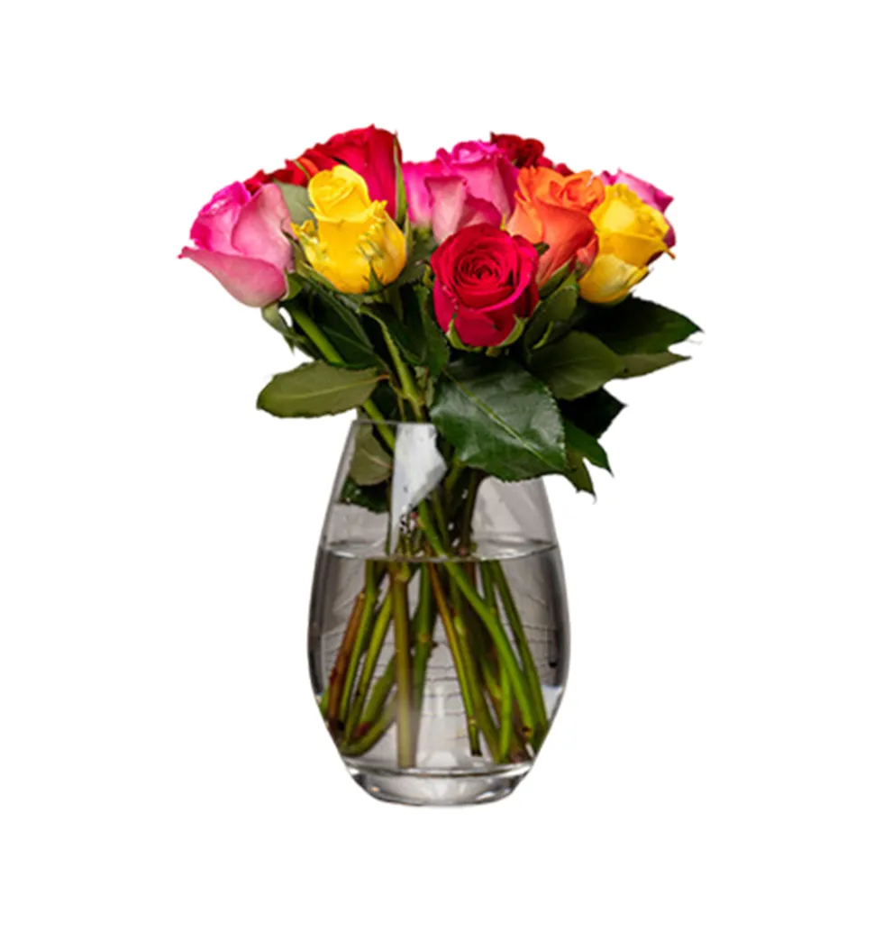 Rainbow Rose Delight