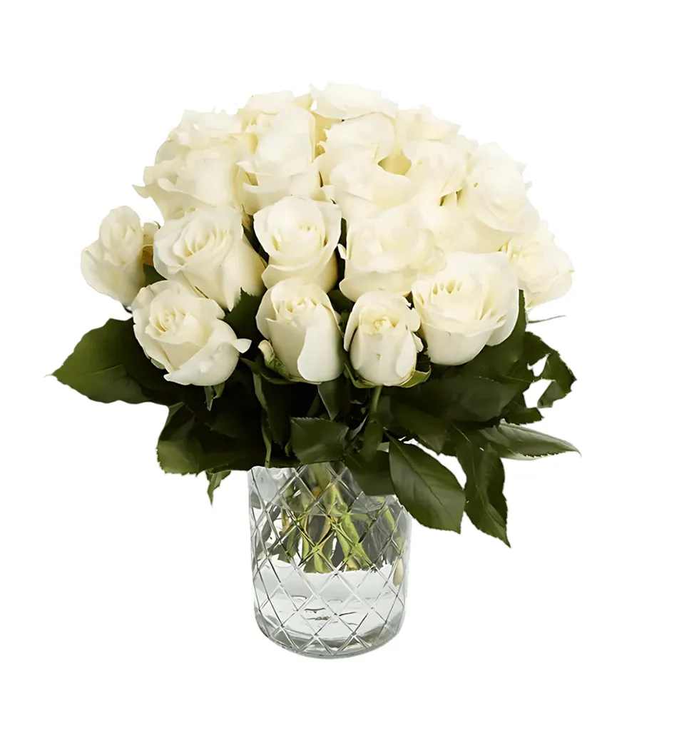 Pure Joy: 10 White Roses