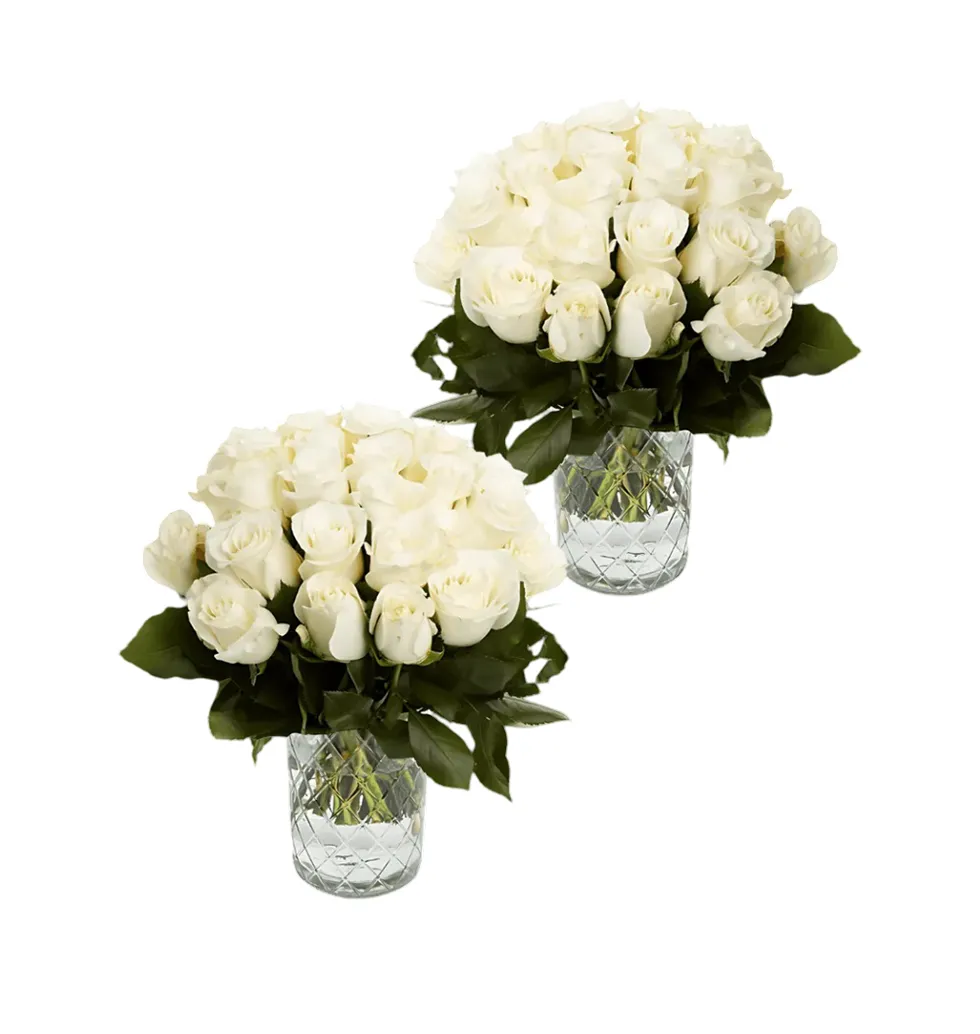 Elegant White Rose Collection