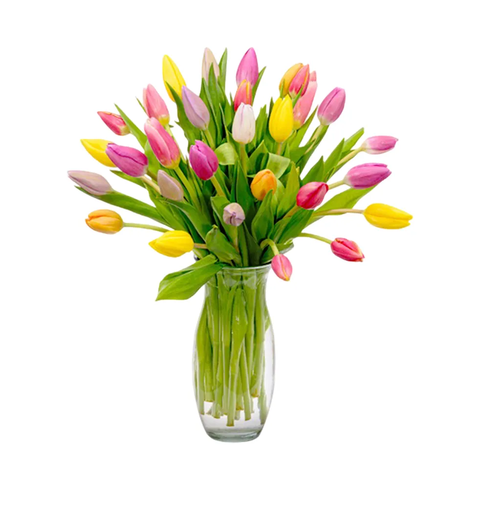 Mixed Tulip Flower Arrangement with Elegant Vase & Treats