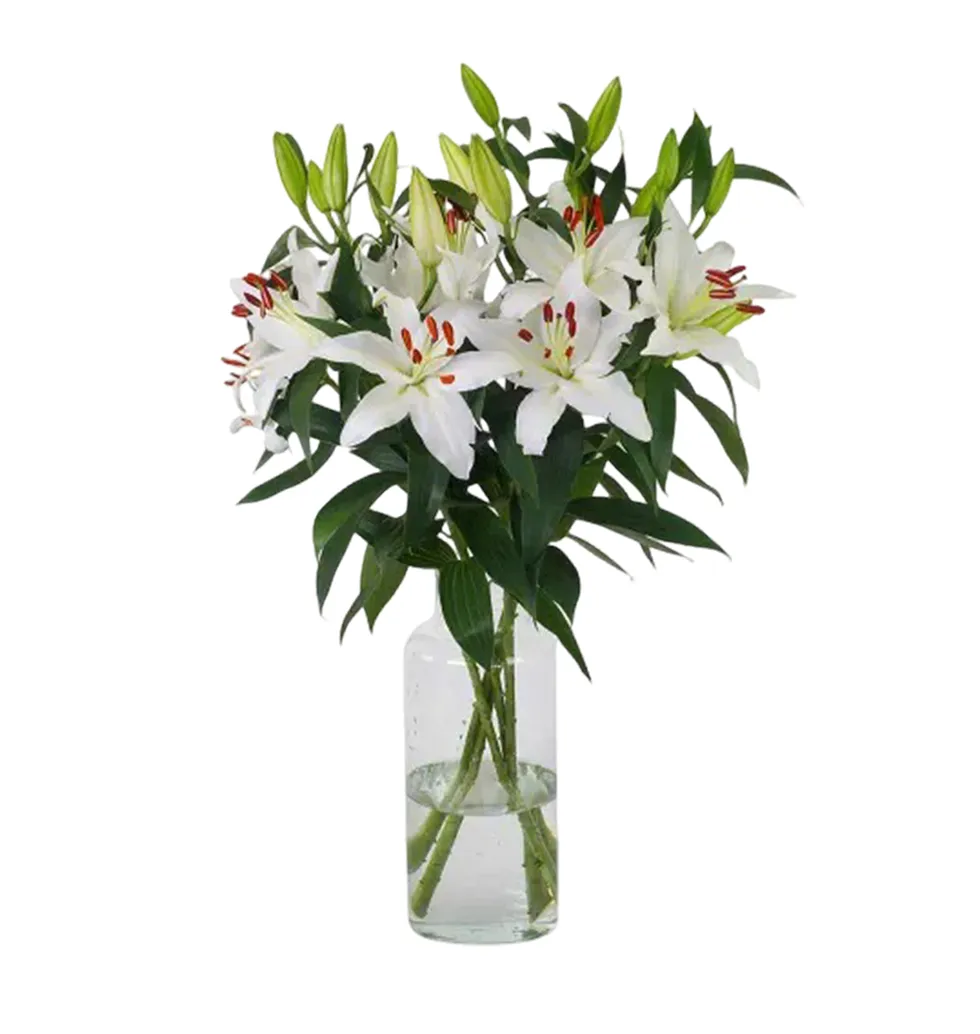 Radiant White Lily Arrangement