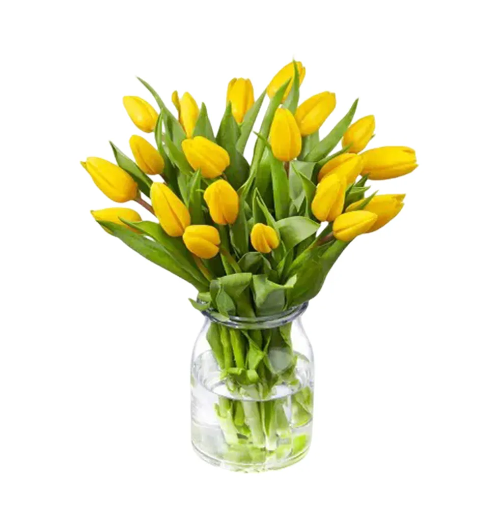 Golden Tulip Delight