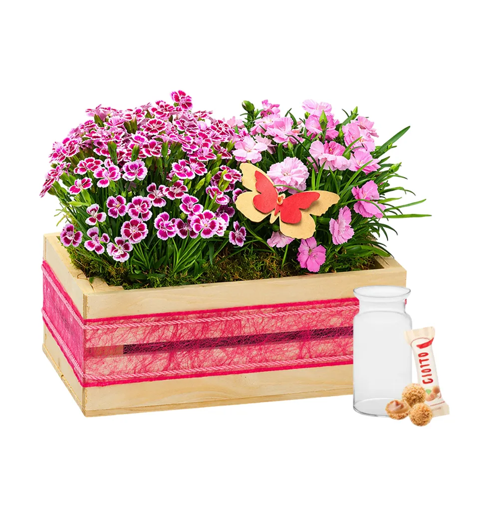 Heartfelt Gift of Carnations with Sweet Surprise