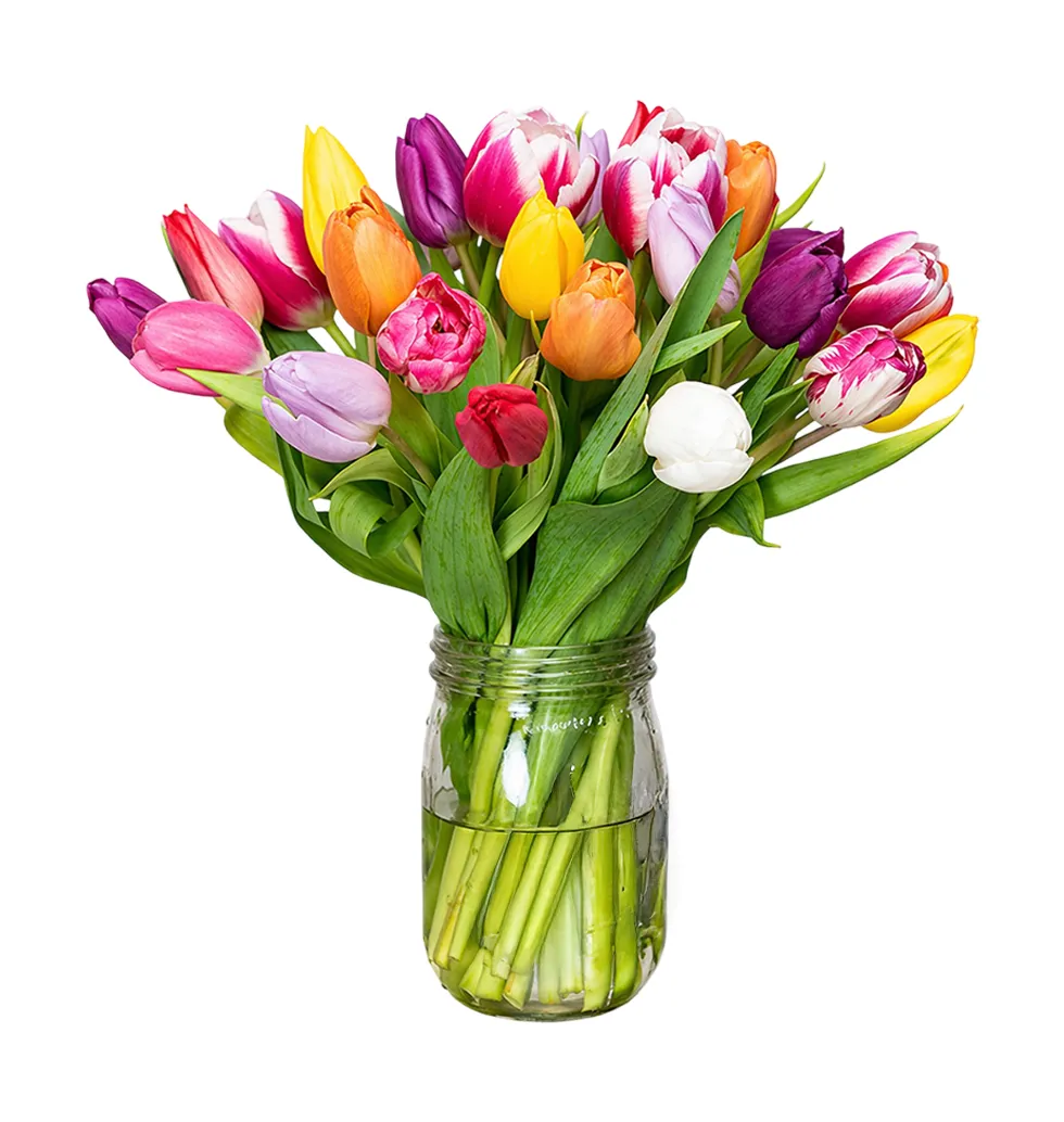 Colour Splash Tulip Surprise