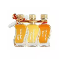 Tropical Rum Discoveries